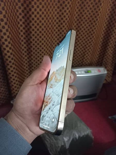 iphone 12pro max 512gb 2