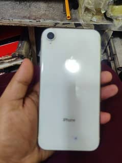 iphone xr dual pta approved white color