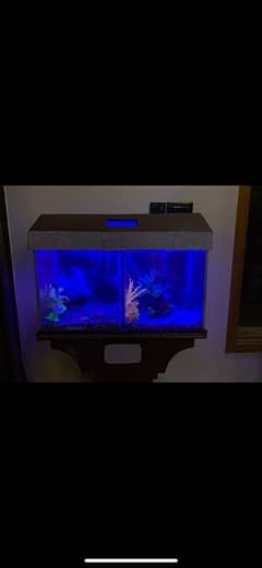 AQUARIUM with STAND