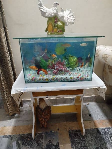 Fish aquarium with stand 1