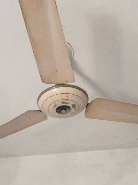 ceiling fans 0