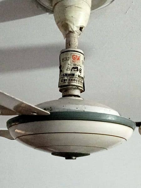 ceiling fans 1