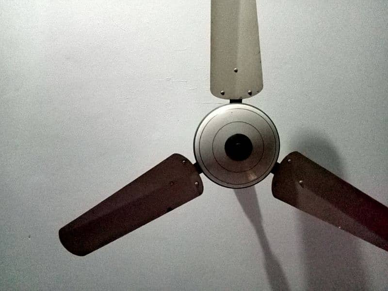 ceiling fans 2