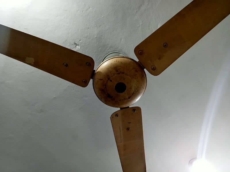 ceiling fans 5