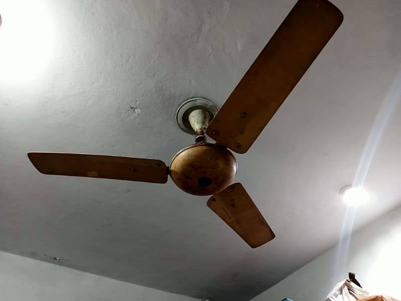 ceiling fans 6