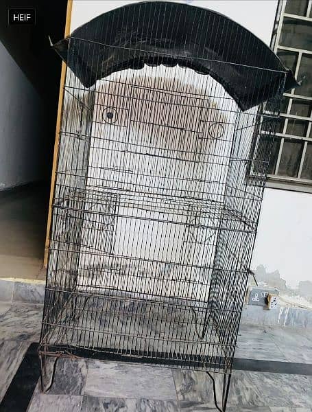 Black Birds Cages For Sale! 5