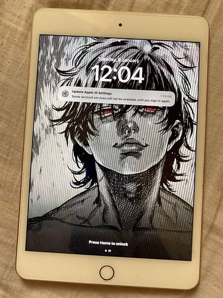 ipad mini 5 0