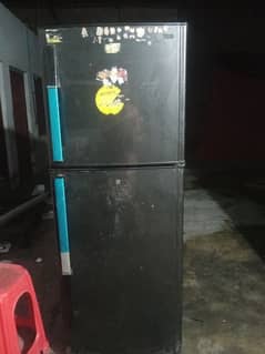 orient fridge