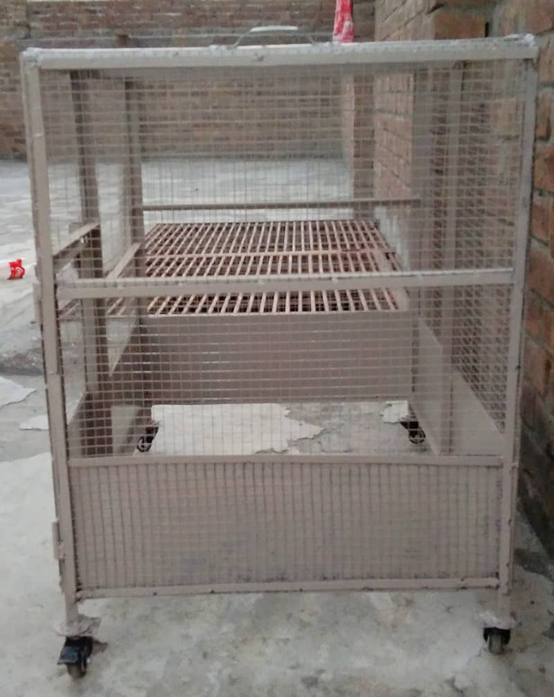 Aseel hen cage (Solid Iran Cage) 1