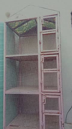 hen cage. birds aviary