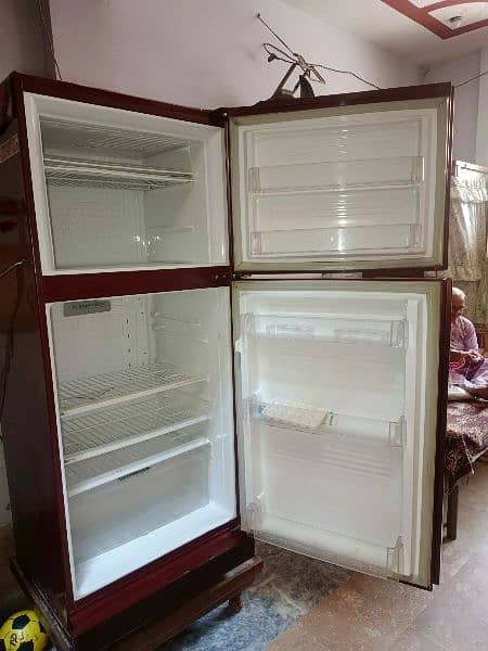 glass refrigerator by pel 3