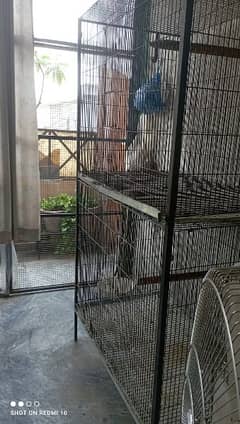 Raw / Grey Parrot Used Cage For Sale 0