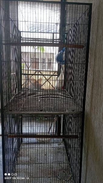 Raw / Grey Parrot Used Cage For Sale 3