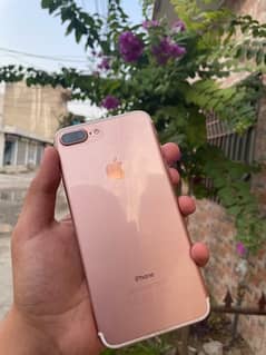 Iphone 7 plus new pta approved 256gb