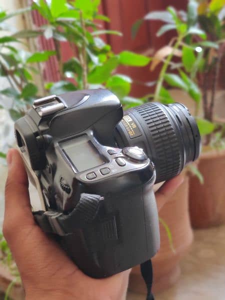 Nikon D80 1