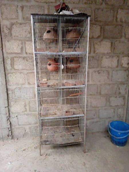 Birds cages 0