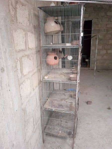Birds cages 2