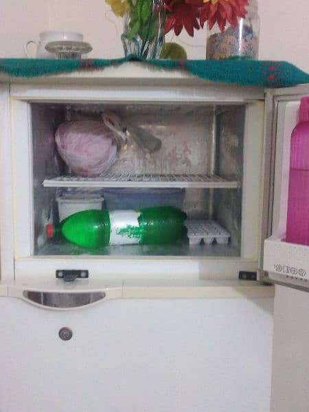 Philip fridge 0