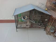 cages for sale 0