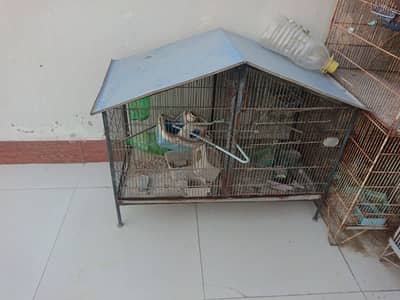 cages for sale