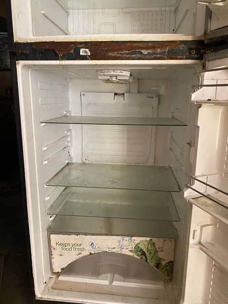 Dawlance Refrigrators & Freezer Normal Size urgent sale 1