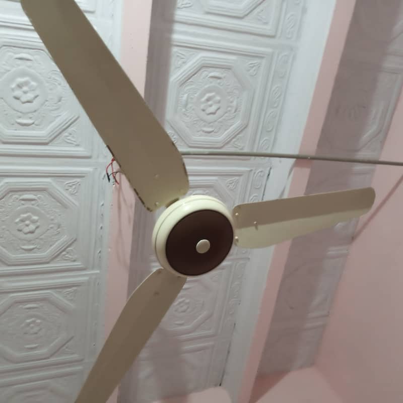 Ceiling Fans AC / DC with Remote 0