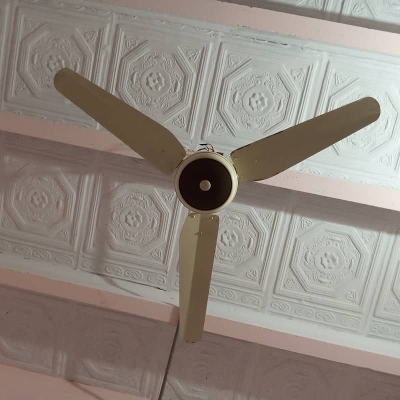 Ceiling Fans AC / DC with Remote 1