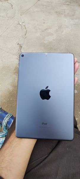 ipad mini 5 0