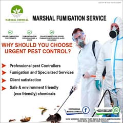 Fumigation services , Pest control , Termite control , Deemak control
