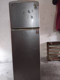 medium  size fridge