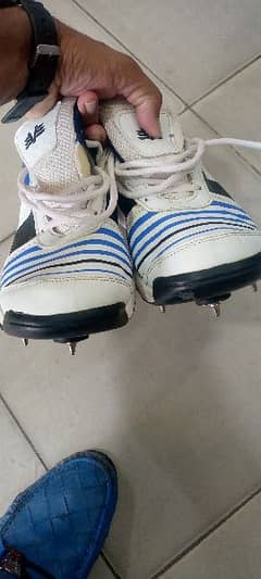 INDIAN BOWLING SPIKES AVAILABLE FOR SALE
