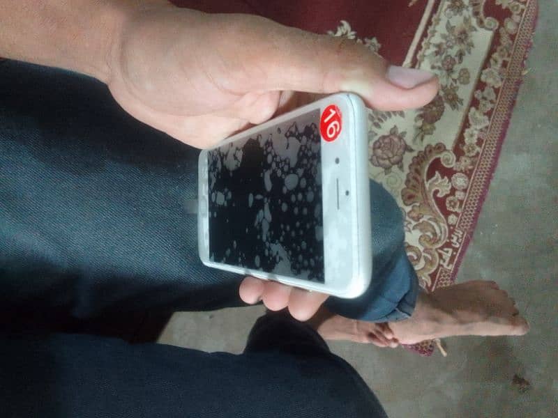 i phone 6