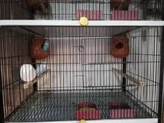 birds cage 0