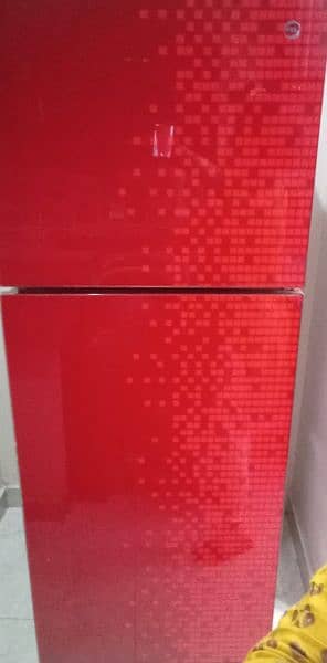 fridge glass door 2