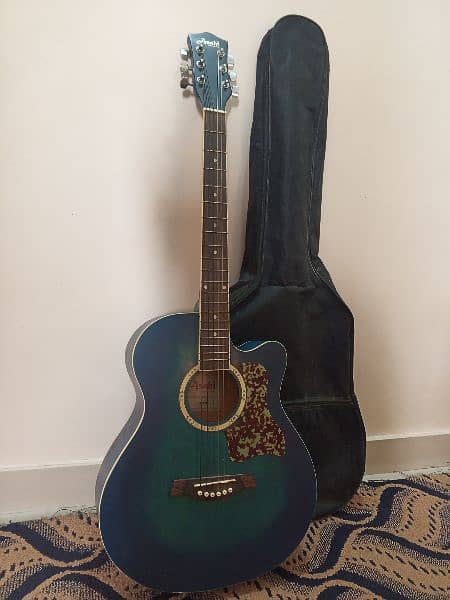 Guitar with bag, picks and L key 17