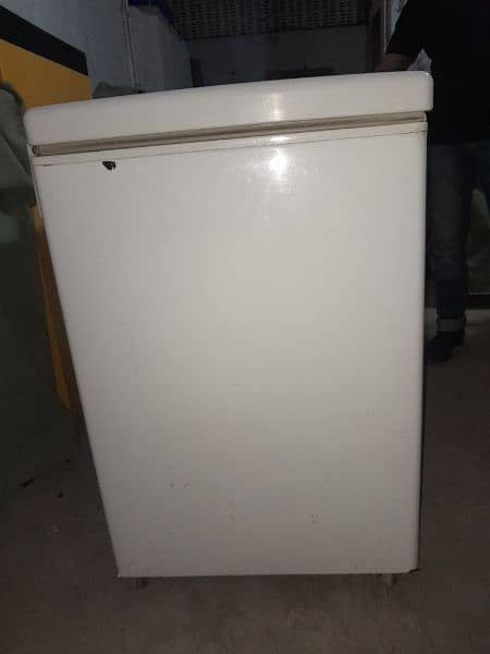 pel deep freezer 3