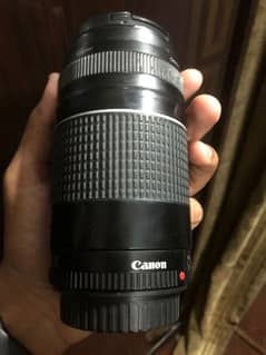 75-300 lens
