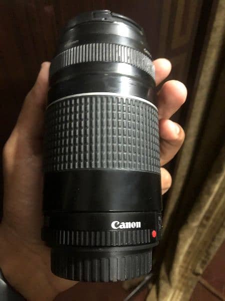 75-300 lens 0