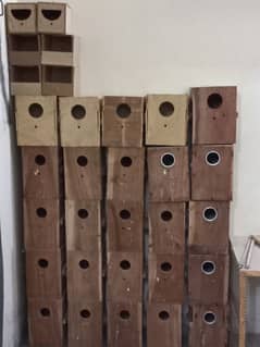 lovebirds used boxes 550 per box
