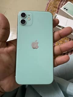 iphone 11 green