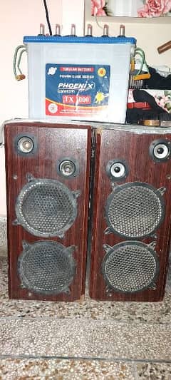 Pioneer Home Sound System