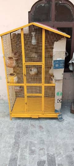 Solid Iron Beautiful Cage double portion for sale.