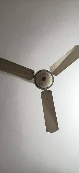 Ceiling fan 1