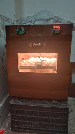 incubator Ac+Dc