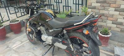 Yamaha Ybr For Sale