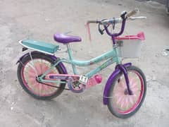 Girl Bicycle Frozen Themed