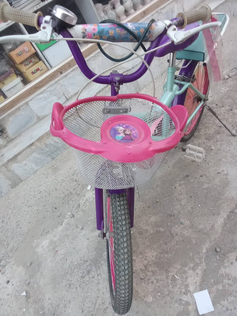 Girl Bicycle Frozen Themed 1