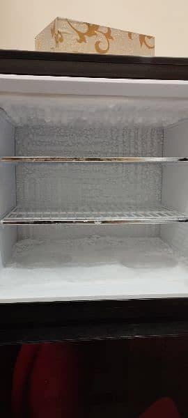 PEL PRGD 2350 Desire Glass Door Refrigerator 4