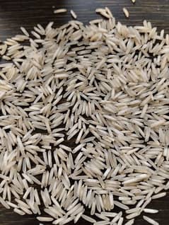 Rice kainat 1121