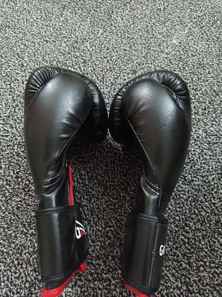 GRITLETIC boxing gloves 2